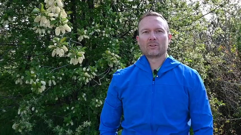 Medical Billing Company